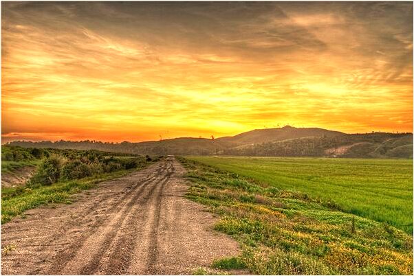 夢到了頭髮里有鐵釘是啥預兆_周公解夢官網