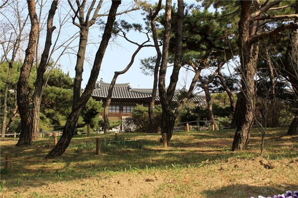 夢到屋後會有什麼預兆_周公解夢