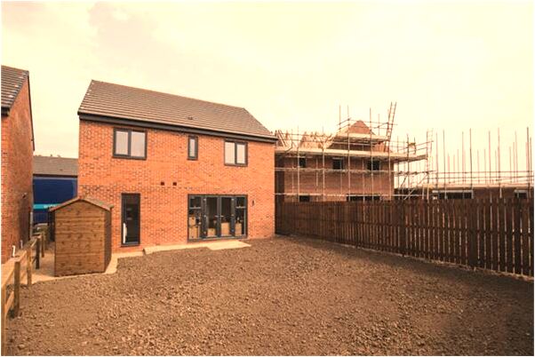 夢到腳上長仙人掌是什麼意思？_周公解夢官網