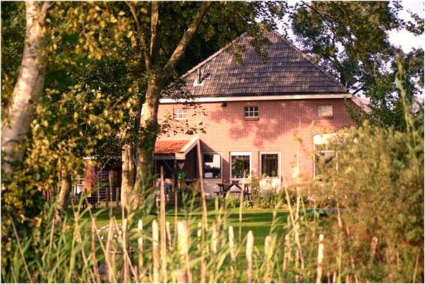 夢到跟公雞打架怎么樣_周公解夢官網