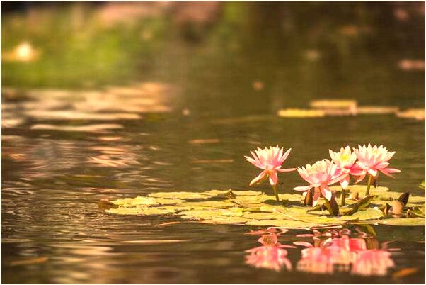 夢見廁所里有鬼在找東西什麼寓意_周公解夢官網