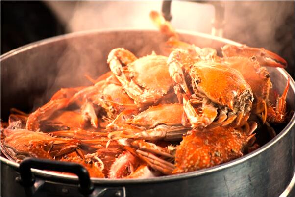 夢到了酒紅色的貓意味著什麼_周公解夢官網