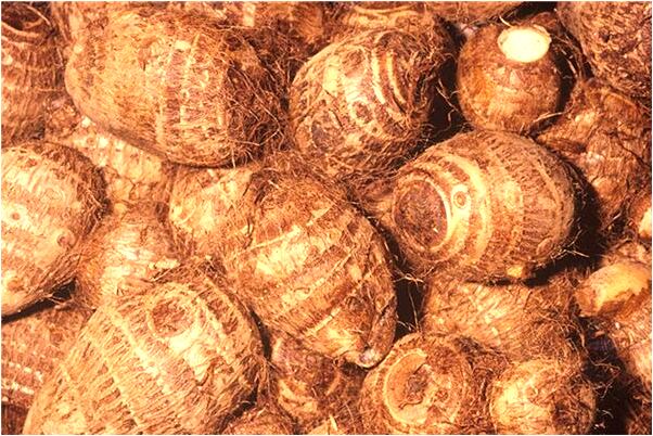 夢到了一群人一起去機場會有什麼預兆_周公解夢官網