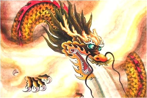 夢到雞拉屎是好的徵兆嗎_周公解夢官網