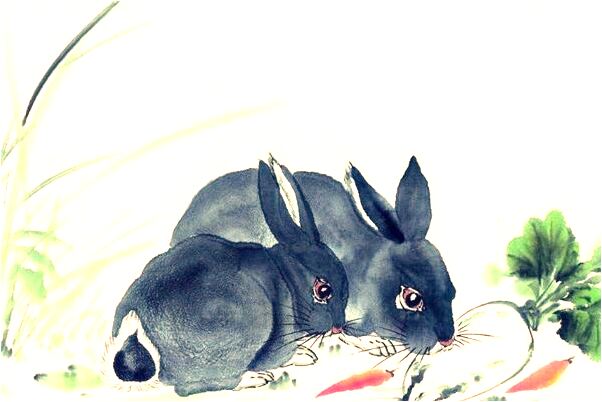 夢到了親人掉井裡死了有何寓意_周公解夢官網