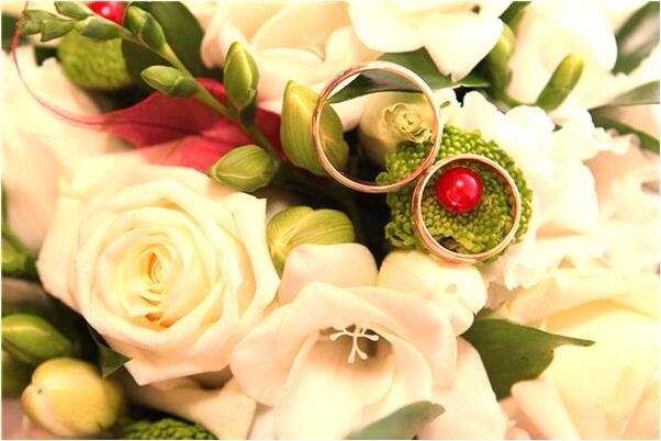 夢到會下水的狗是咋回事_周公解夢官網