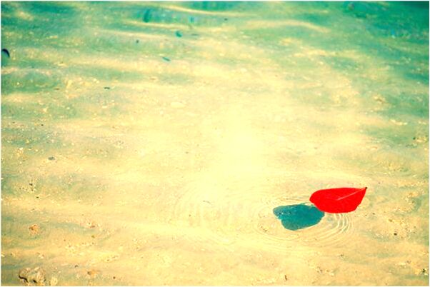 夢見懷孕了下面流血了怎么回事_周公解夢官網