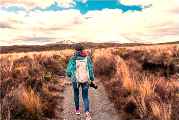 夢見自己被別人形容是可愛的狗是好是壞_周公解夢官網