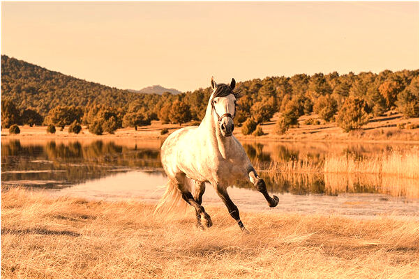 夢到自己女朋友和別人親熱是什麼兆頭_周公解夢官網