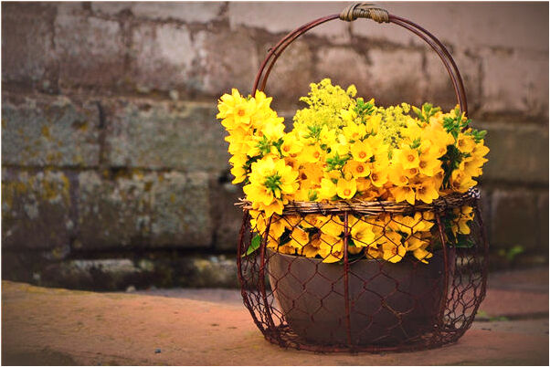 夢到了東西拉家裡會怎么樣_周公解夢官網