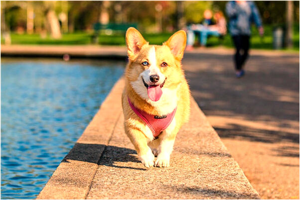 夢見三男女抱在一起睡是什麼徵兆_周公解夢官網