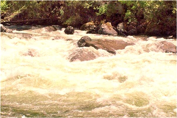 夢見白死青蛙帶血會是什麼預兆_周公解夢官網