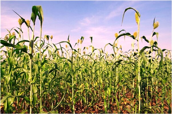 夢見大門被雷打是什麼意思_周公解夢官網