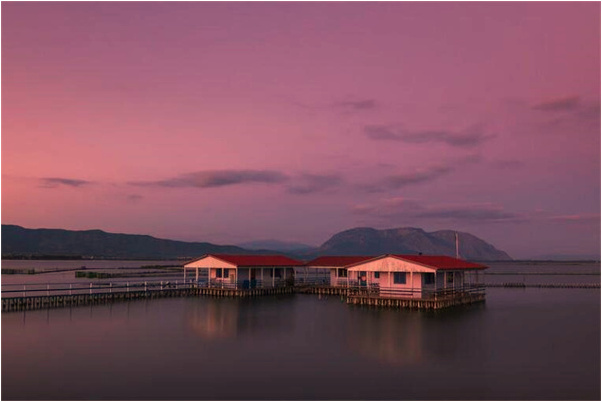 夢見回到老家院子裡意味著什麼_周公解夢官網