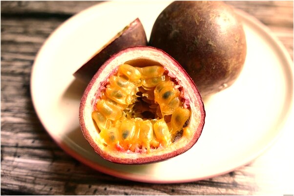 夢到家人跟我說家裡沒錢了是啥意思_周公解夢官網