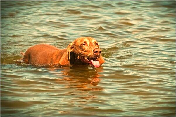 夢到了家裡地面全是冰是咋回事_周公解夢官網
