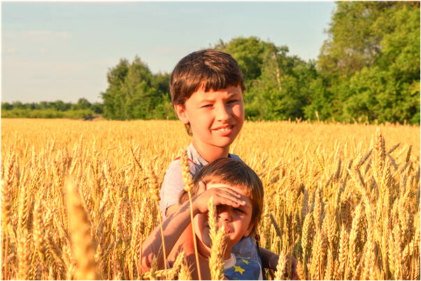 夢到舊家具來客人家亂是什麼兆頭_周公解夢官網