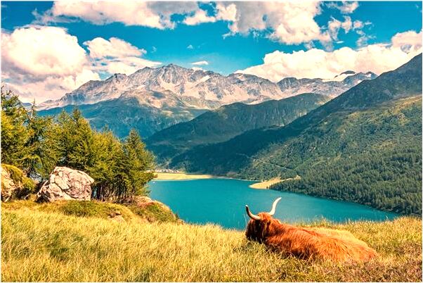 夢到了泰式料理是凶兆還是吉兆_周公解夢官網