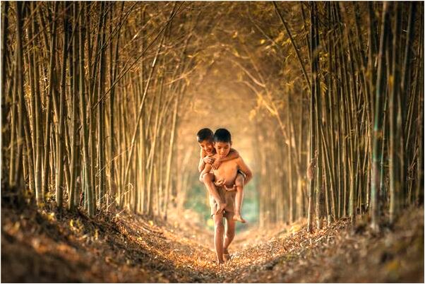 夢到了我和其他高手一起共事會有什麼預兆_周公解夢官網