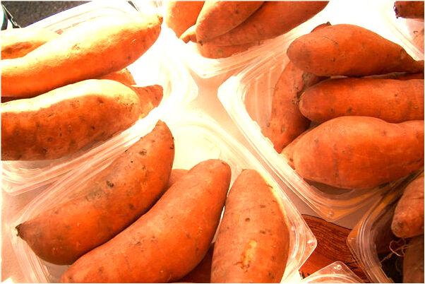 夢見人身上都是蒼蠅啥意思_周公解夢官網