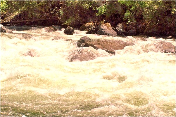 夢到豬肉壞了是什麼意思？_周公解夢官網