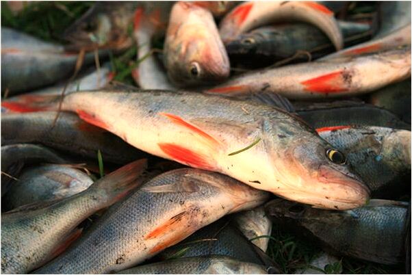 夢到了有人掉井裡卻無力救助有何寓意_周公解夢官網