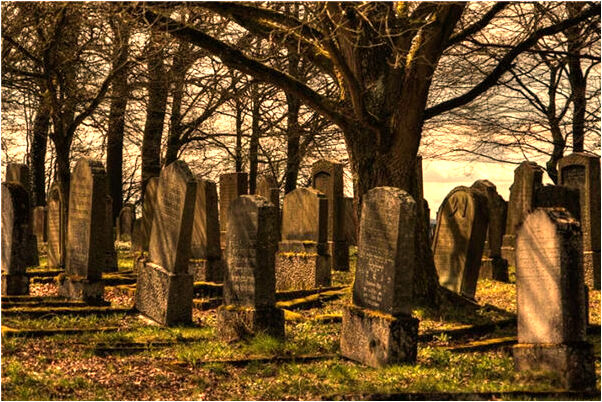 夢到買小該是啥意思_周公解夢官網