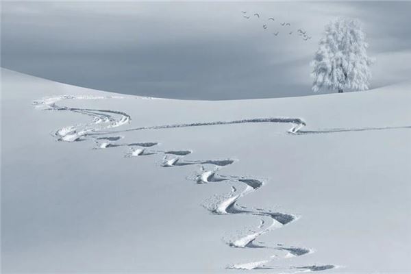 夢見雪意味著什麼_周公解夢