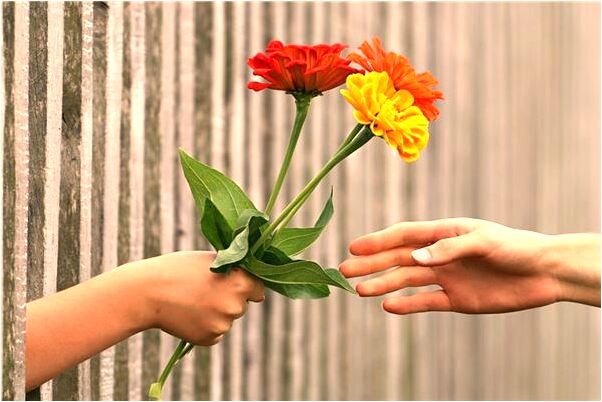 夢到了重做身份證是什麼啟示_周公解夢官網