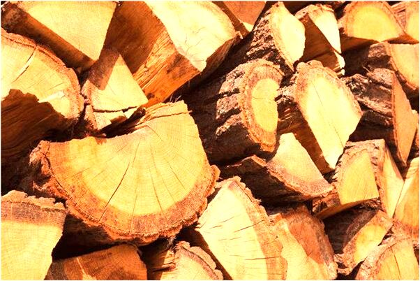 夢到了為逝去的親人過生日怎么樣_周公解夢官網