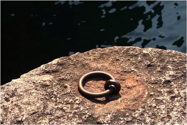 夢到了自己把貓摔死有什麼預示嗎_周公解夢官網