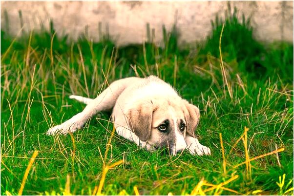 夢到了跟有女朋友的男人做愛是什麼預兆？_周公解夢官網