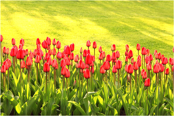 夢見哥哥拿刀子刺我有什麼預示嗎_周公解夢官網