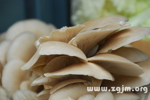 Dream of buy mushroom