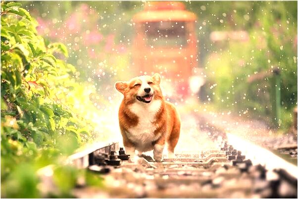 夢到了去世的人變成瘋子是什麼預兆_周公解夢官網