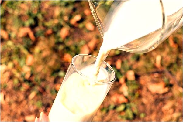 夢到被同性入侵菊花啥意思_周公解夢官網