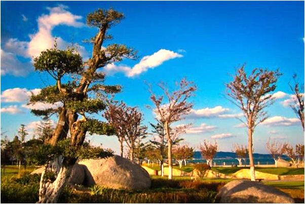 夢見電線外皮剝落是凶兆還是吉兆_周公解夢官網