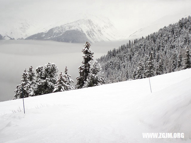 夢見洪水上漲往高處跑_周公解夢夢到洪水上漲往高處跑是什麼意思_做夢夢見洪水上漲往高處跑好不好_周公解夢官網