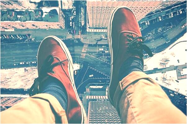 夢到豬打架是什麼意思？_周公解夢官網