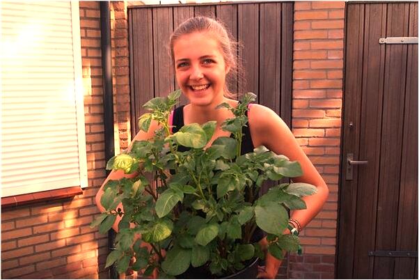 夢到親人即將離別意味著什麼_周公解夢官網