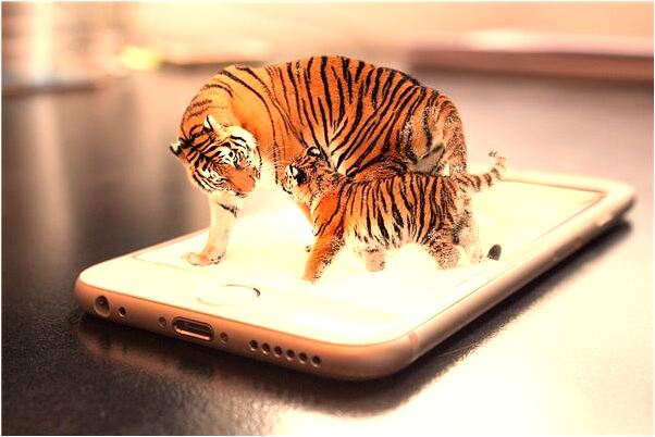 夢見和兩人在打鬥預示著什麼_周公解夢官網