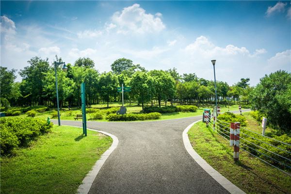 夢見走錯路_周公解夢