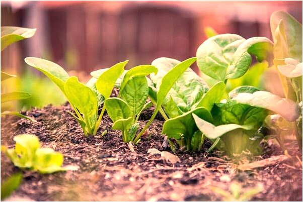 夢到錢失而復得而且比原來的多代表什麼_周公解夢官網