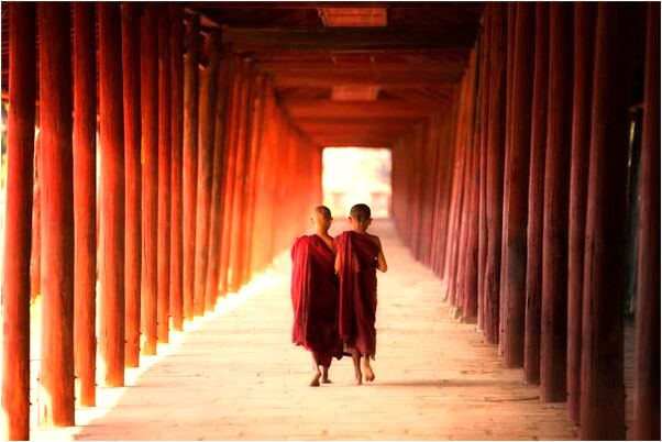 夢到了侄子被撕碎了會是什麼預兆_周公解夢官網