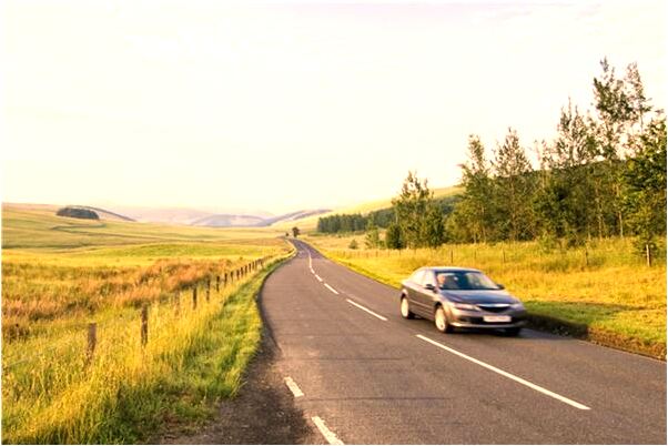 夢到了南瓜甜瓜是不是好的徵兆呢_周公解夢官網