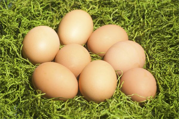 夢到好多雞蛋_周公解夢