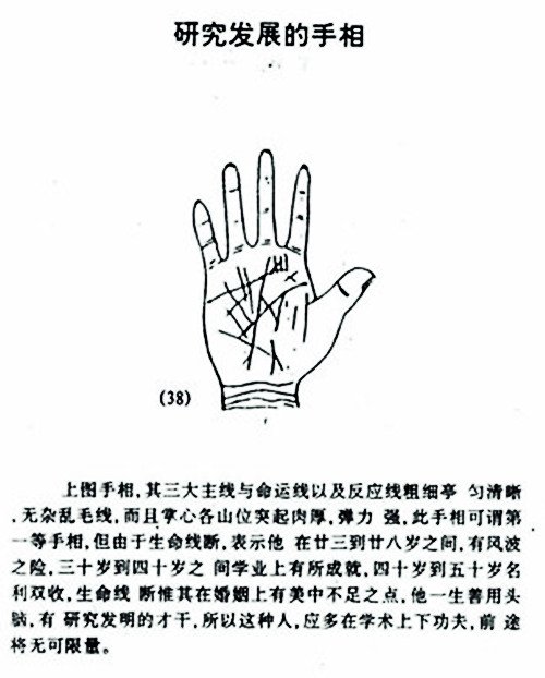 Research and development of palm diagram