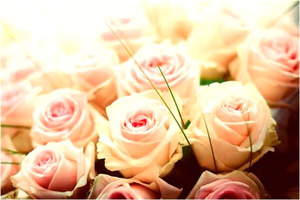 夢見親戚和我搬到一起住預示什麼_周公解夢官網