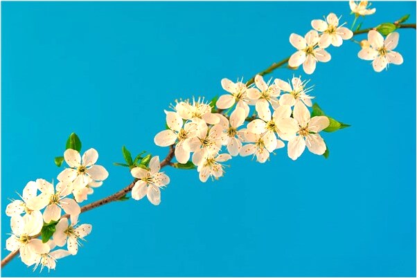 夢見男朋友掉無底洞裡是凶兆還是吉兆_周公解夢官網