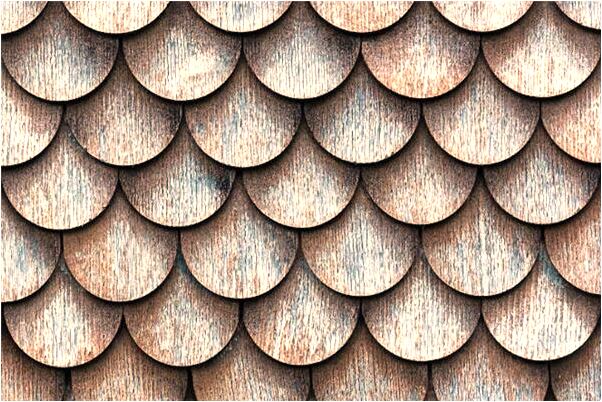 夢到釣魚斷左線代表什麼_周公解夢官網